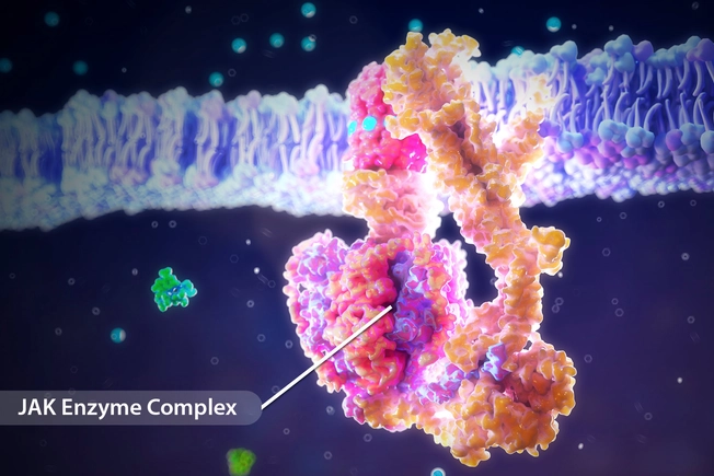 JAK Inhibitors JAK Inhibitors